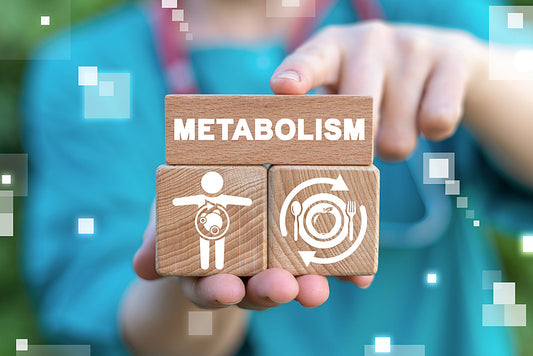 The Best Supplements for Improved Weight Loss When Boosting Metabolism - Energi Nutrition