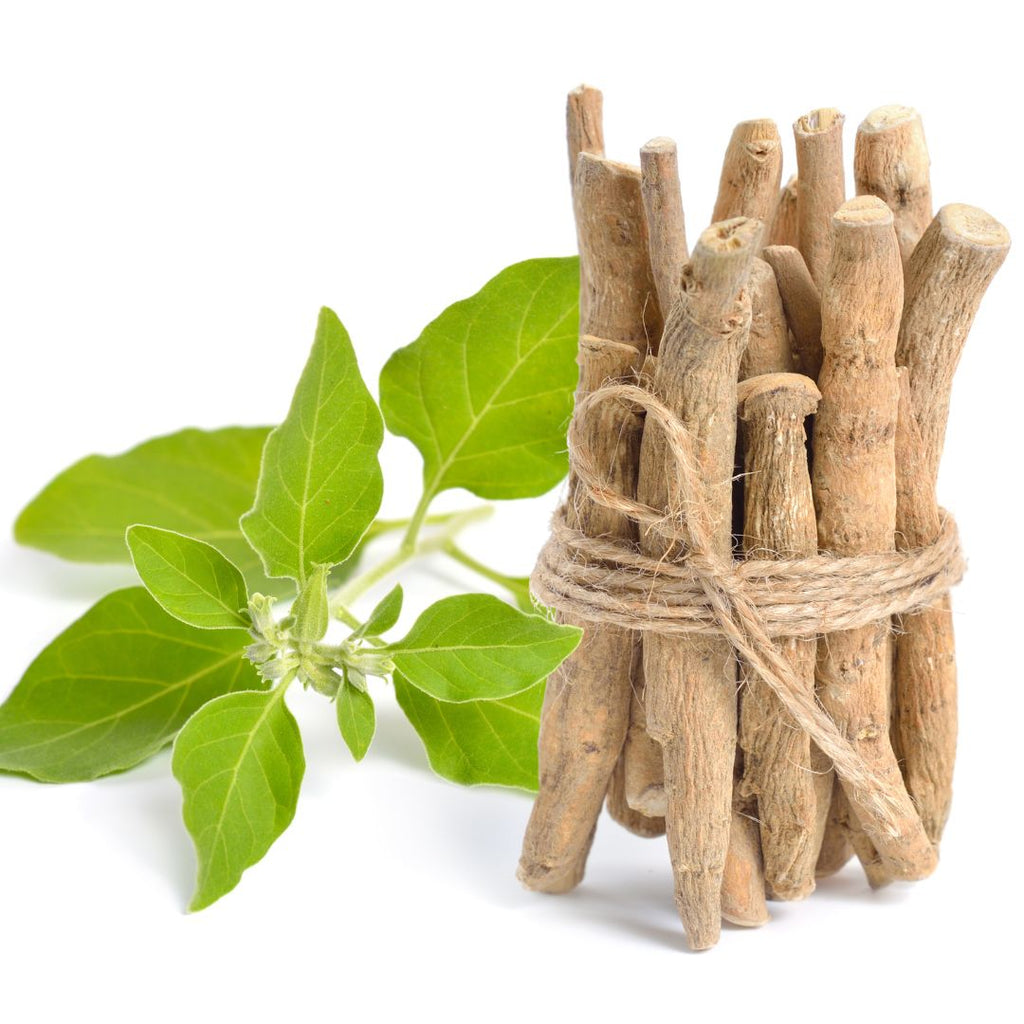 5 Best Ashwagandha Supplement For 2024