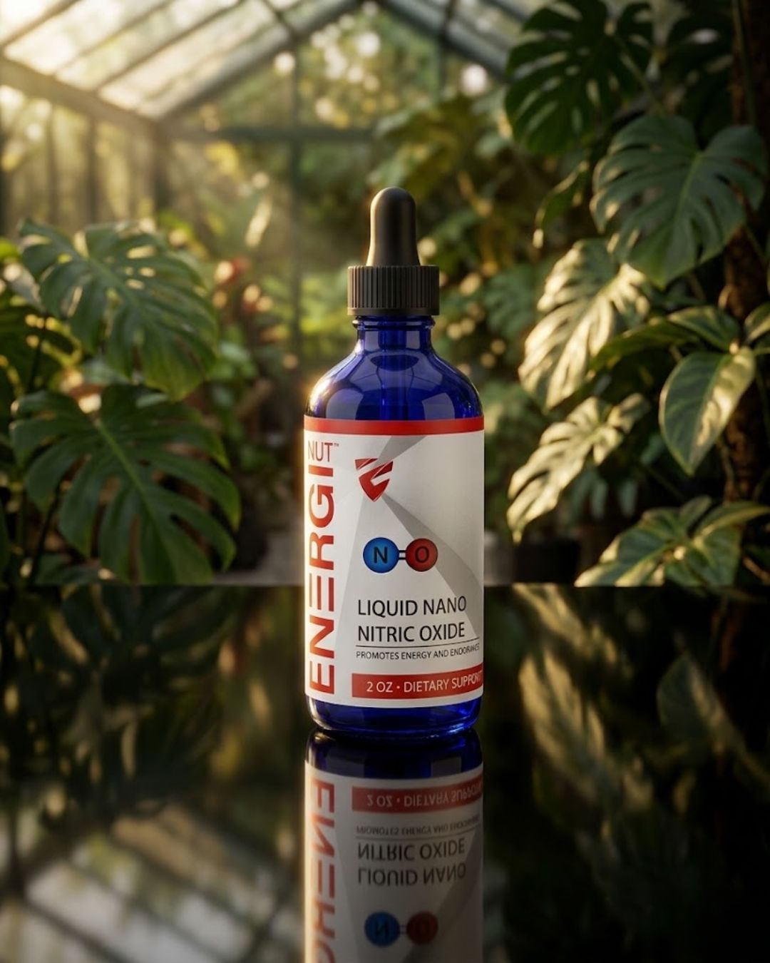 LIQUID NANO NITRIC OXIDE (2oz)