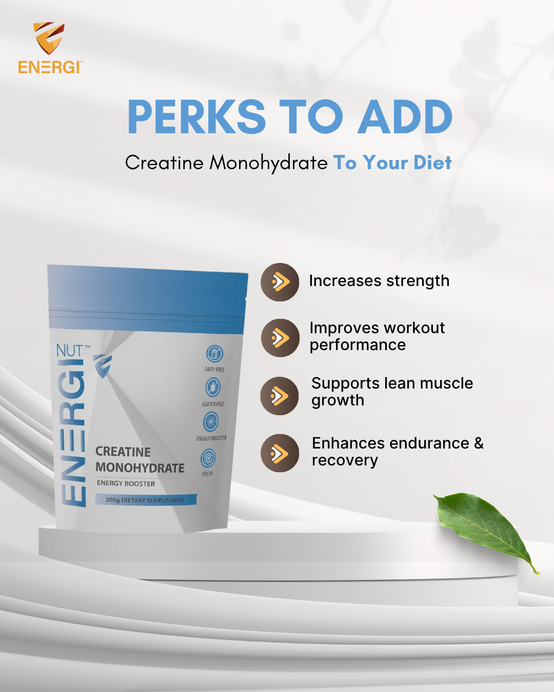 Creatine Monohydrate Supplement (300 g)