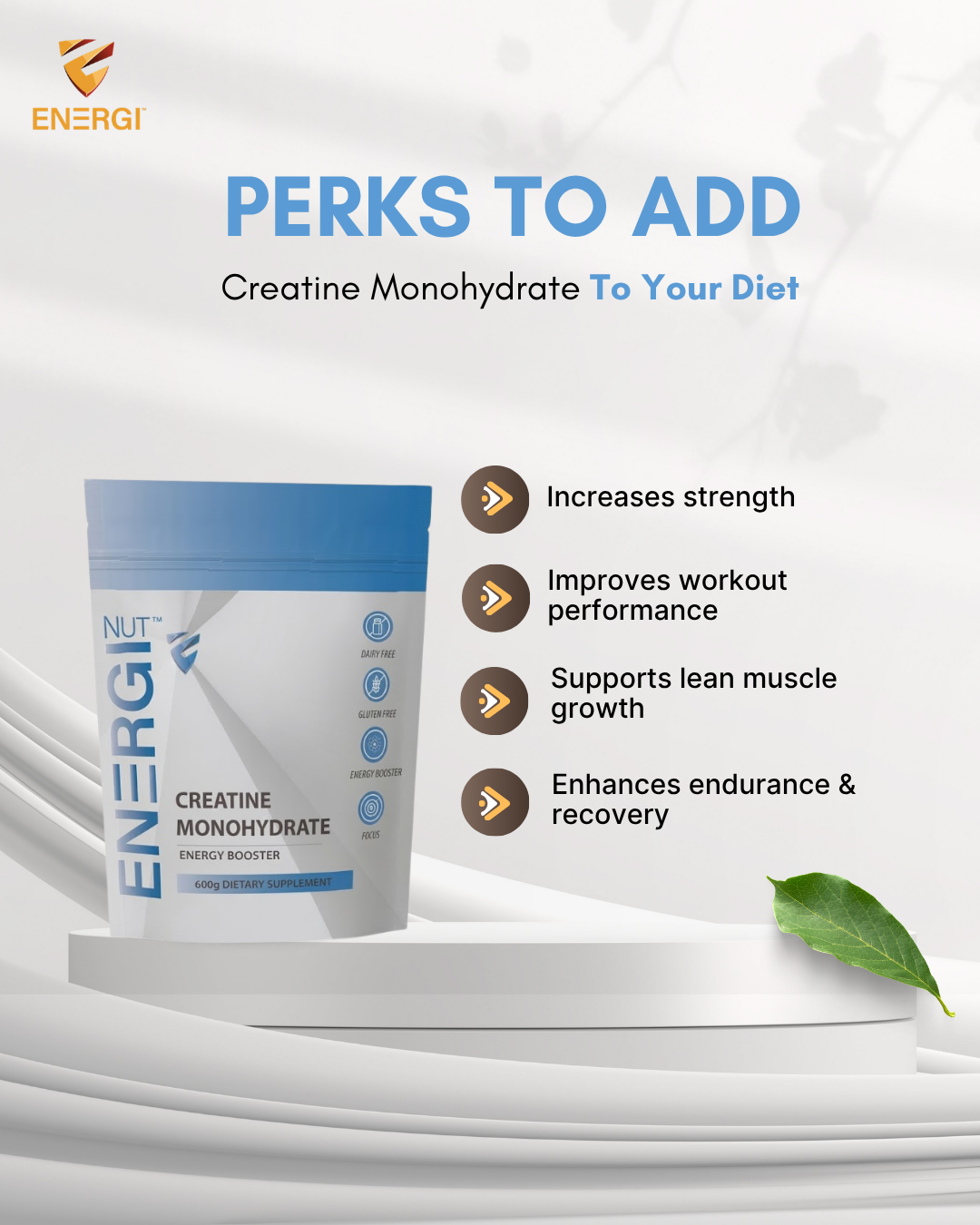 CREATINE MONOHYDRATE (600 g)