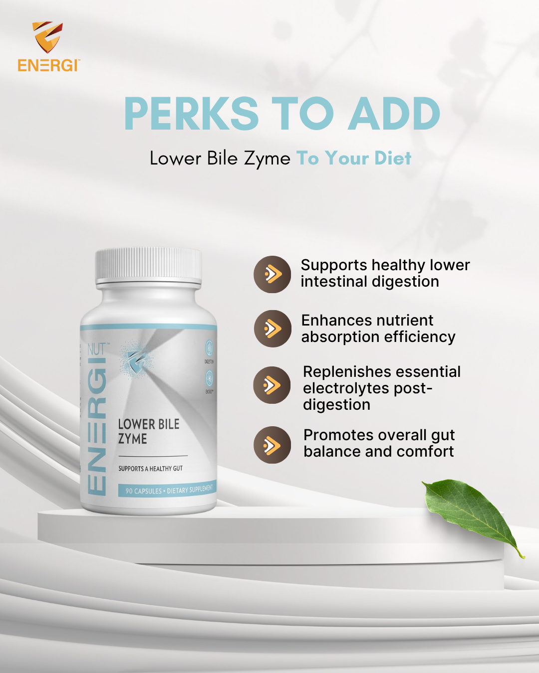 Lower Bile Zyme