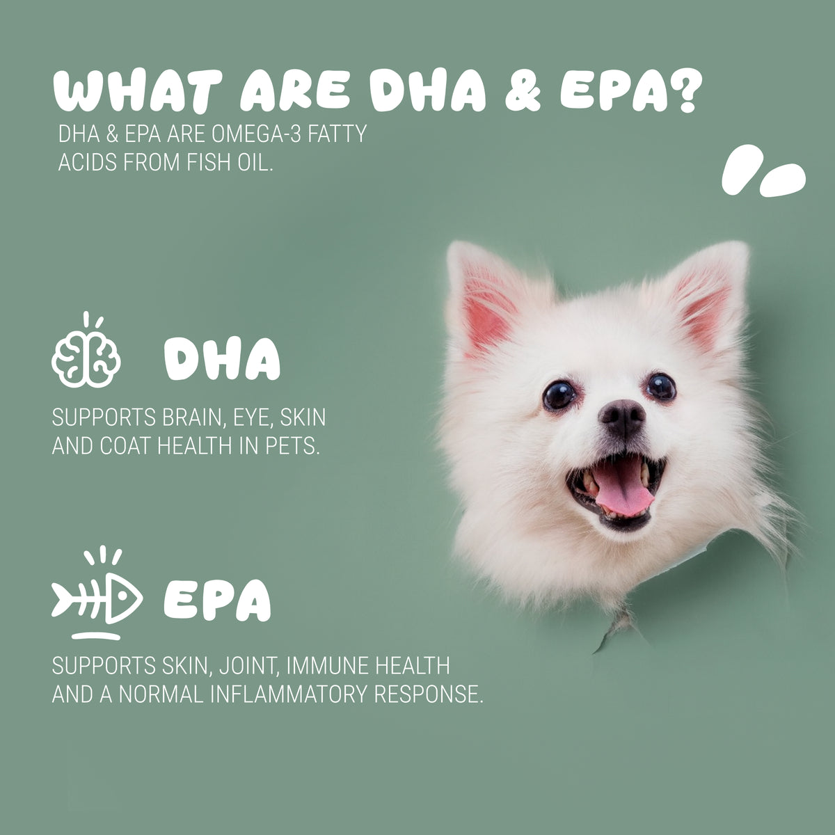 Peppy Pup Omega-3 KD Oil Capsules for Pets (60 SOFT GELS)