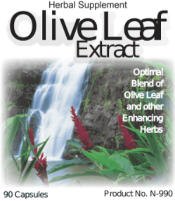 Olive leaf
